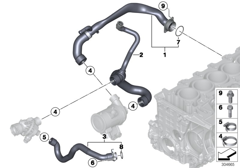 Cooling System Water Hoses