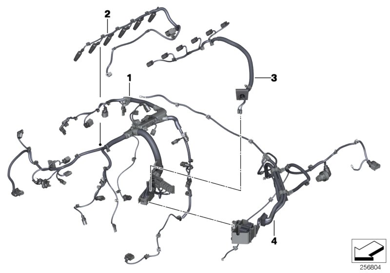 Engine wiring harness