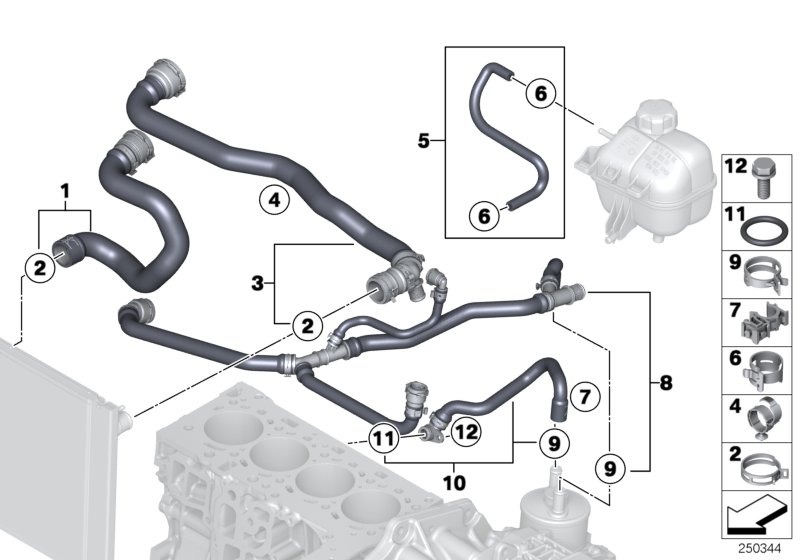 Cooling System Water Hoses