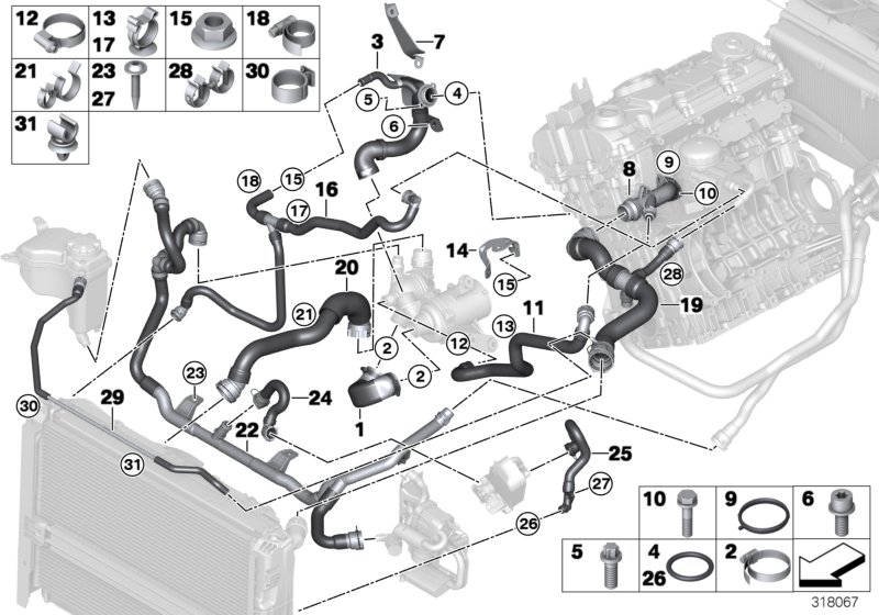Cooling system coolant hoses