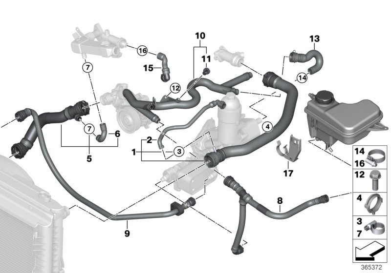 Cooling system coolant hoses