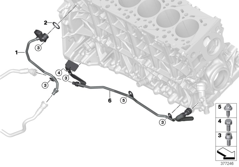 Cooling system - coolant hoses, engine