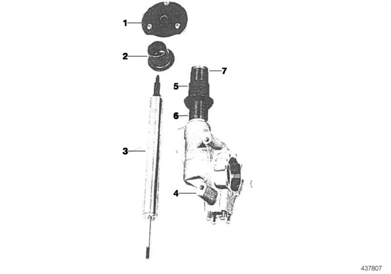 Spring strut, front