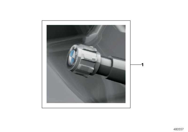 Valve caps