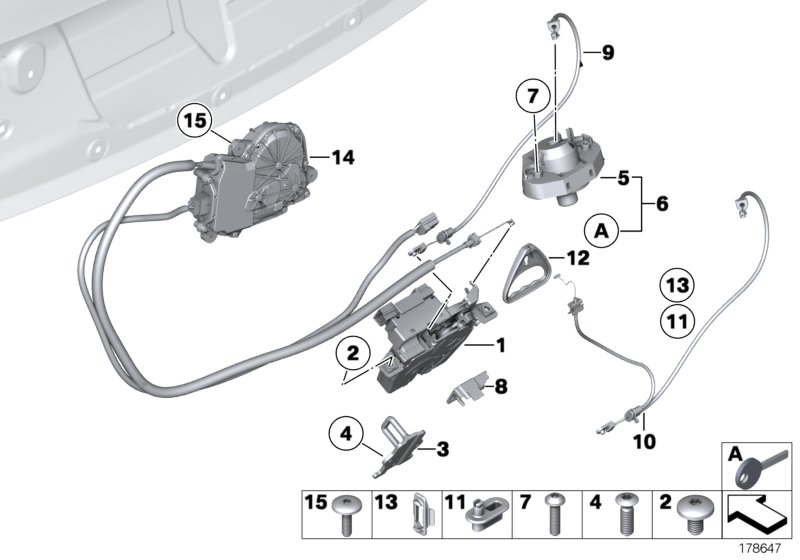 Trunk lid/closing system