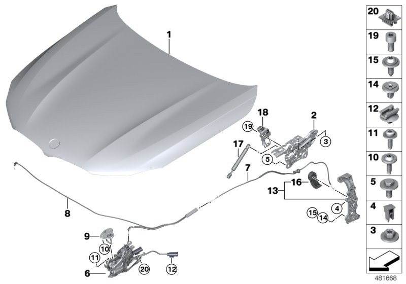 Bonnet / mounted parts