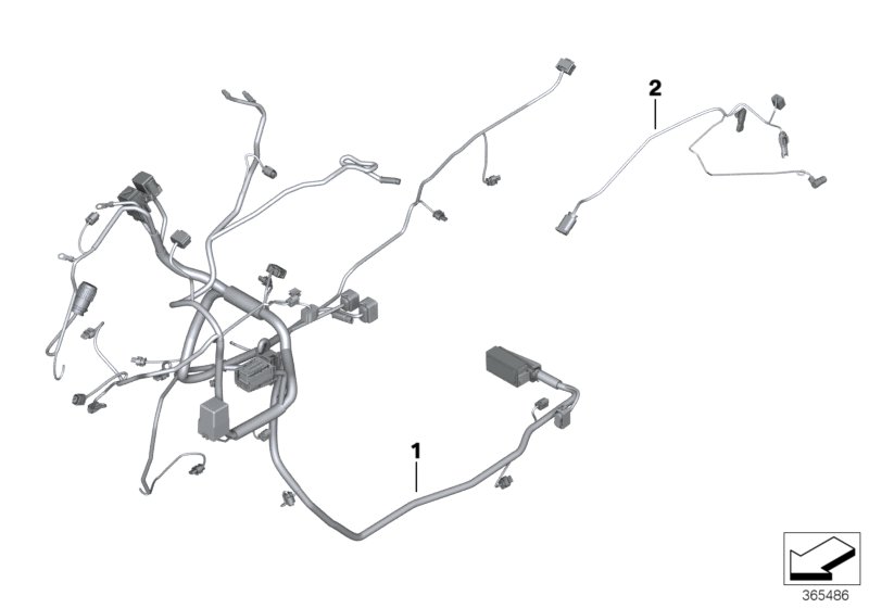 Main / rear wiring harness